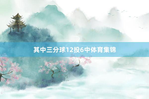 其中三分球12投6中体育集锦
