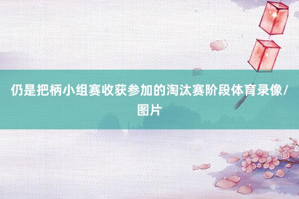仍是把柄小组赛收获参加的淘汰赛阶段体育录像/图片