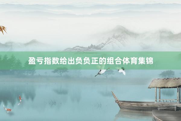 盈亏指数给出负负正的组合体育集锦