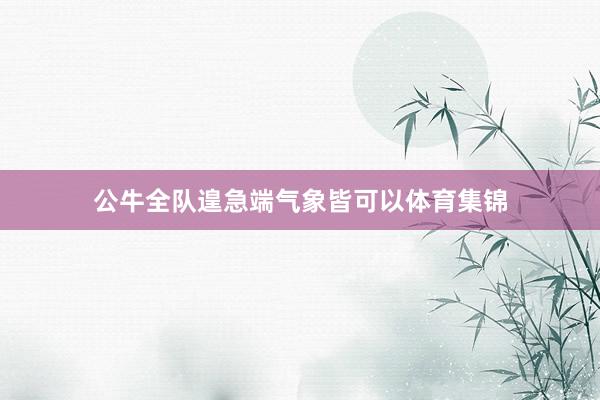 公牛全队遑急端气象皆可以体育集锦