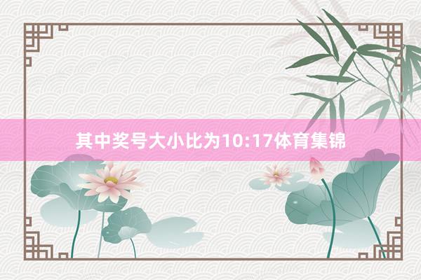 其中奖号大小比为10:17体育集锦