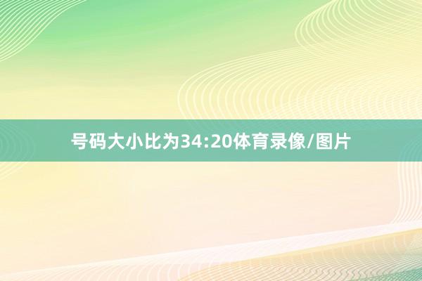 号码大小比为34:20体育录像/图片