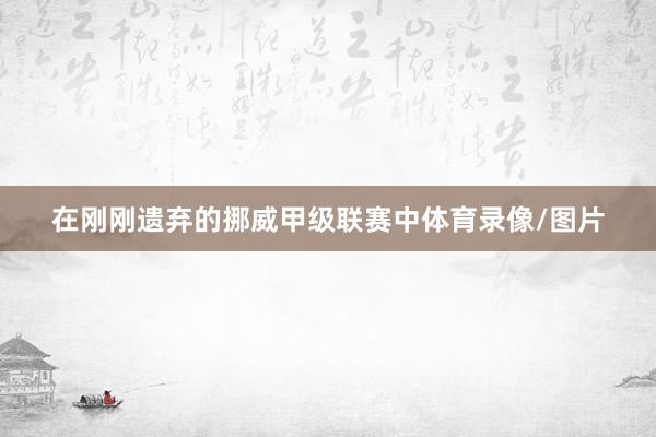 在刚刚遗弃的挪威甲级联赛中体育录像/图片