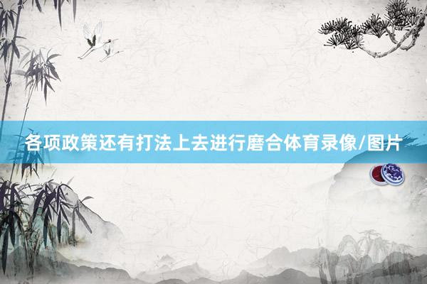 各项政策还有打法上去进行磨合体育录像/图片
