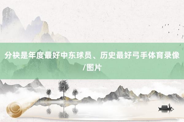 分袂是年度最好中东球员、历史最好弓手体育录像/图片