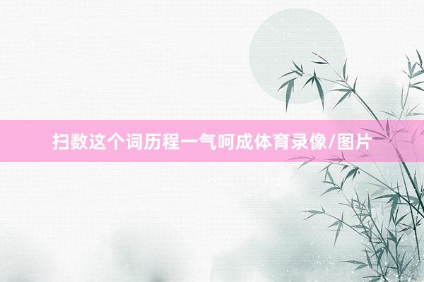 扫数这个词历程一气呵成体育录像/图片