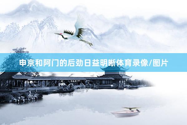 申京和阿门的后劲日益明晰体育录像/图片