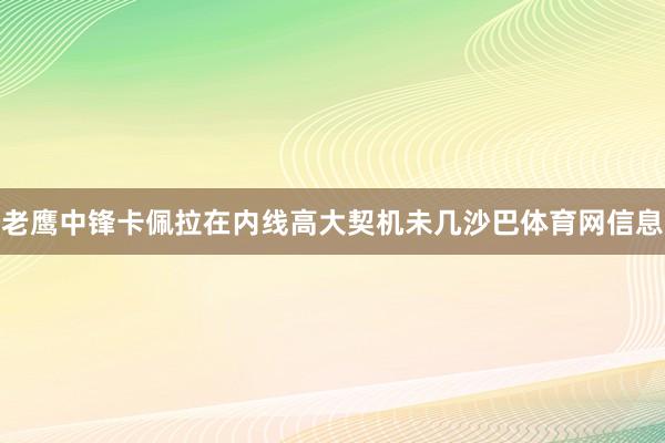 老鹰中锋卡佩拉在内线高大契机未几沙巴体育网信息