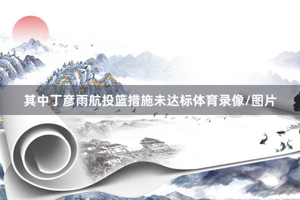 其中丁彦雨航投篮措施未达标体育录像/图片