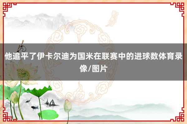 他追平了伊卡尔迪为国米在联赛中的进球数体育录像/图片