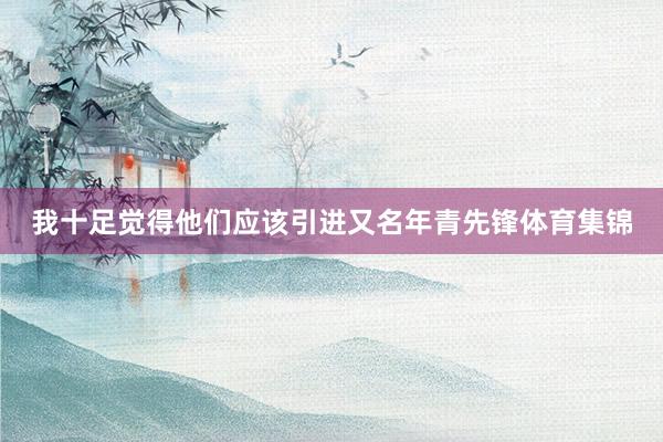 我十足觉得他们应该引进又名年青先锋体育集锦