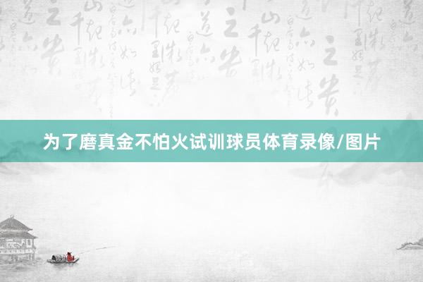 为了磨真金不怕火试训球员体育录像/图片