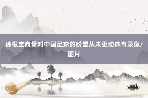 徐根宝商量对中国足球的盼望从未更动体育录像/图片