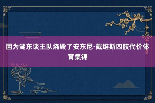 因为湖东谈主队烧毁了安东尼·戴维斯四肢代价体育集锦