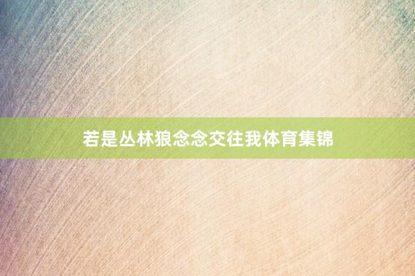 若是丛林狼念念交往我体育集锦