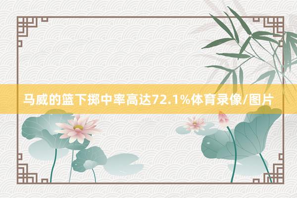 马威的篮下掷中率高达72.1%体育录像/图片