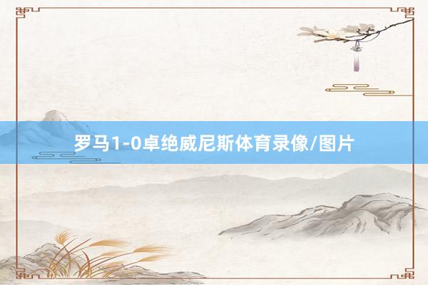 罗马1-0卓绝威尼斯体育录像/图片