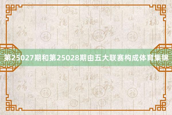 第25027期和第25028期由五大联赛构成体育集锦
