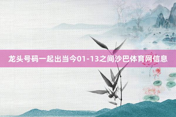龙头号码一起出当今01-13之间沙巴体育网信息