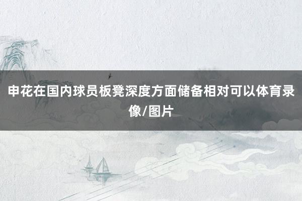 申花在国内球员板凳深度方面储备相对可以体育录像/图片
