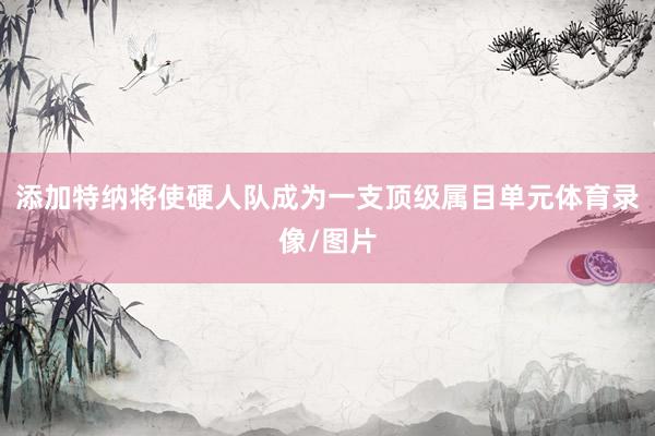 添加特纳将使硬人队成为一支顶级属目单元体育录像/图片