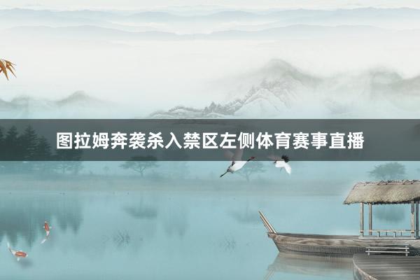 图拉姆奔袭杀入禁区左侧体育赛事直播
