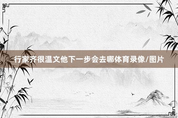 行家齐很温文他下一步会去哪体育录像/图片
