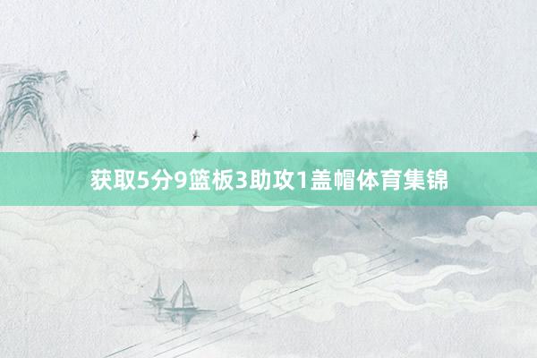 获取5分9篮板3助攻1盖帽体育集锦