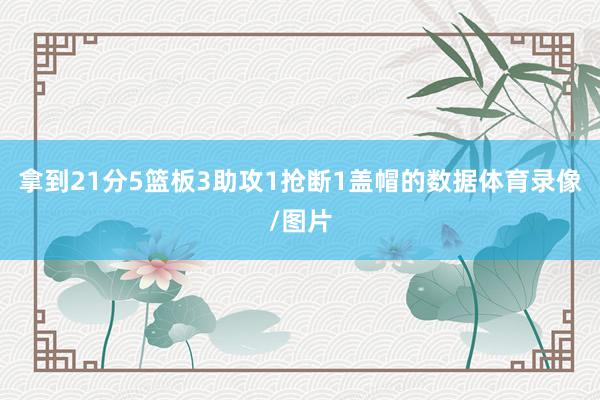 拿到21分5篮板3助攻1抢断1盖帽的数据体育录像/图片