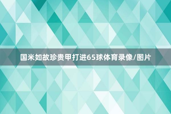 国米如故珍贵甲打进65球体育录像/图片