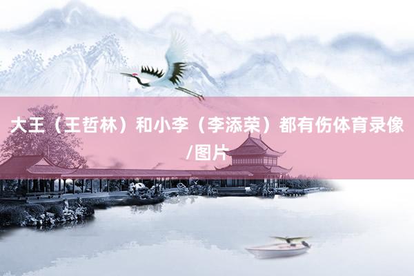 大王（王哲林）和小李（李添荣）都有伤体育录像/图片