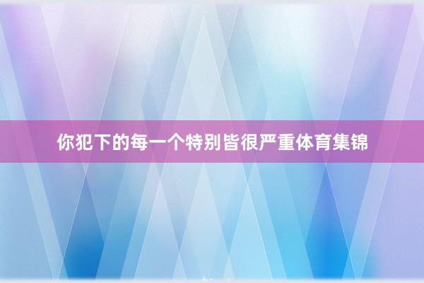 你犯下的每一个特别皆很严重体育集锦