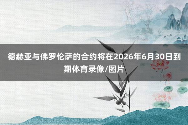 德赫亚与佛罗伦萨的合约将在2026年6月30日到期体育录像/图片