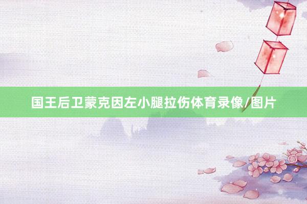 国王后卫蒙克因左小腿拉伤体育录像/图片