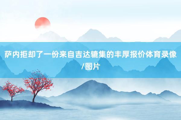 萨内拒却了一份来自吉达辘集的丰厚报价体育录像/图片