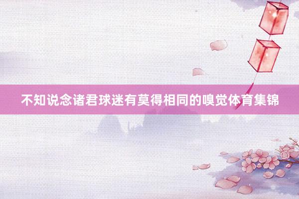 不知说念诸君球迷有莫得相同的嗅觉体育集锦