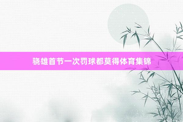 骁雄首节一次罚球都莫得体育集锦