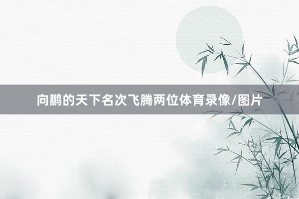 向鹏的天下名次飞腾两位体育录像/图片