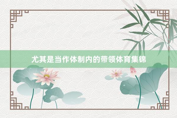 尤其是当作体制内的带领体育集锦