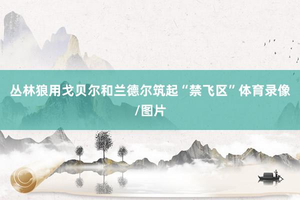 丛林狼用戈贝尔和兰德尔筑起“禁飞区”体育录像/图片