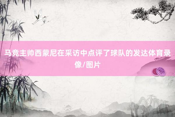 马竞主帅西蒙尼在采访中点评了球队的发达体育录像/图片