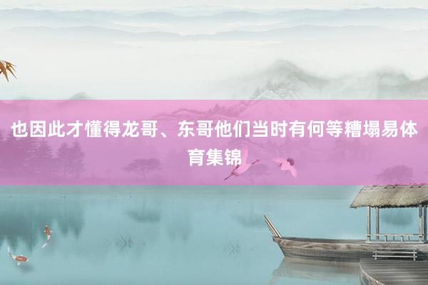也因此才懂得龙哥、东哥他们当时有何等糟塌易体育集锦