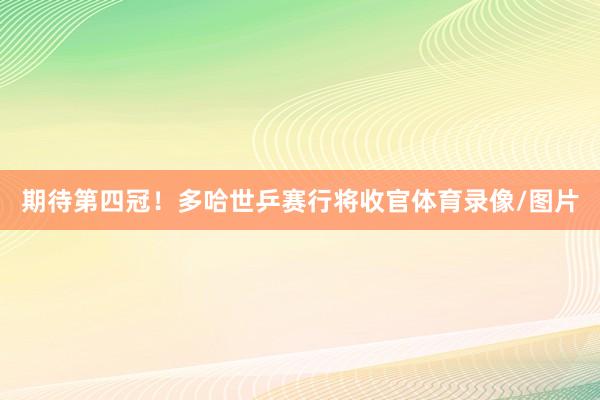 期待第四冠!多哈世乒赛行将收官体育录像/图片