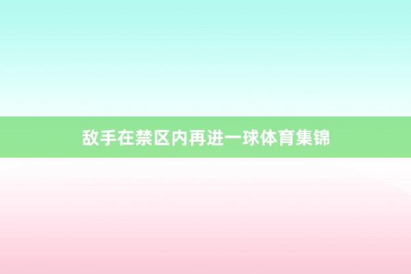 敌手在禁区内再进一球体育集锦