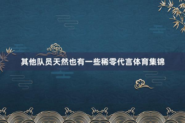 其他队员天然也有一些稀零代言体育集锦