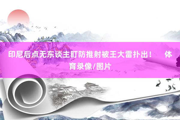 印尼后点无东谈主盯防推射被王大雷扑出！    体育录像/图片