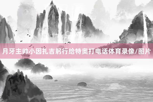 月牙主帅小因扎吉躬行给特奥打电话体育录像/图片