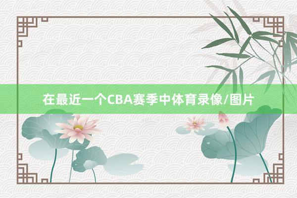 在最近一个CBA赛季中体育录像/图片