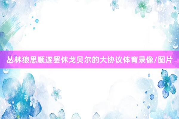 丛林狼思顺遂罢休戈贝尔的大协议体育录像/图片