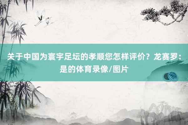 关于中国为寰宇足坛的孝顺您怎样评价?龙赛罗:是的体育录像/图片